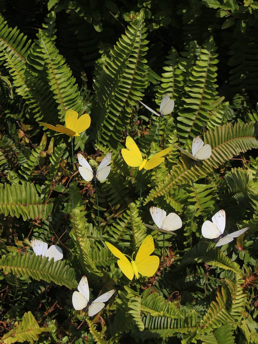 10入组PVC裝飾花園樁戶外蝴蝶裝飾景觀花園樁 - 彩色 - 查看 1