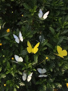 10入组PVC裝飾花園樁戶外蝴蝶裝飾景觀花園樁 - 彩色 - 查看 7