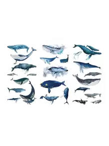 3 piezas de pegatinas con diseño de ballena, útiles escolares, de vuelta a clases - Multicolor - Ver 3