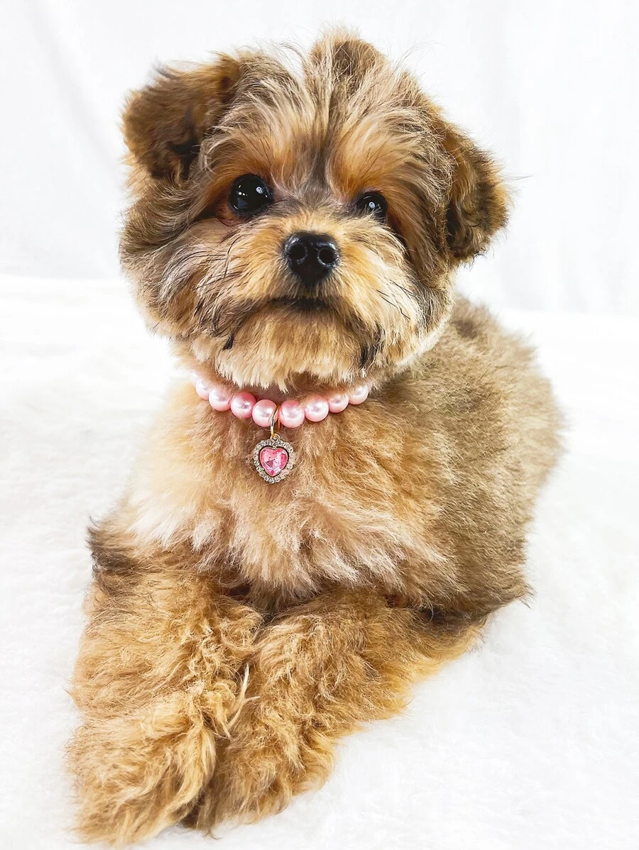 1 pieza Collar para mascotas con diamante de imitación colgante de corazón - Rosa - Ver 1