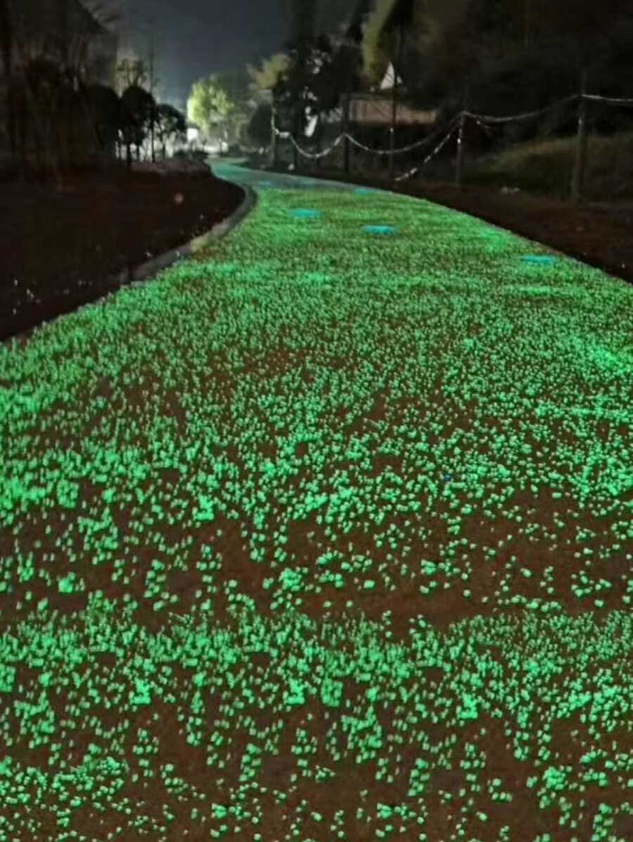 4300顆石頭裝飾鵝卵石夜光裝飾河石用於許願瓶 - 綠色 - 查看 1