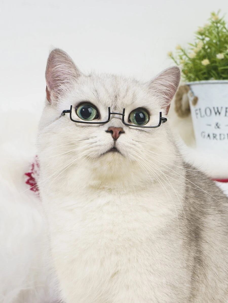 1pc Square Lens Cat Glasses - Black - View 1