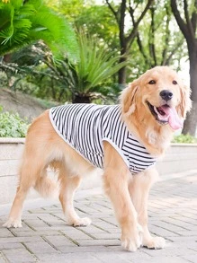 1pc Striped Print Pet Tank - Black and White - View 2