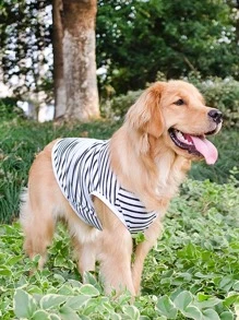 1pc Striped Print Pet Tank - Black and White - View 6