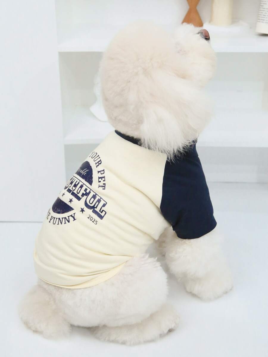 色塊落肩袖 - 藍色 - 查看 1