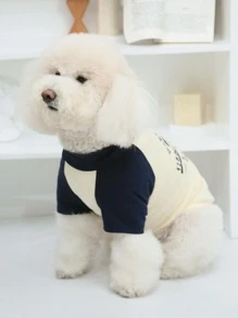 色塊落肩袖 - 藍色 - 查看 2