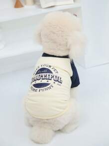 色塊落肩袖 - 藍色 - 查看 6