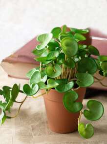 16cm Small Artificial Copper Coin Grass Fake Succulent Landscape Tropical Hydroponics Plants Plastic Begonia Leaves Green Centerpieces For Home Office Balcony Desktop Decoration Without Pot 1pc - Green - View 2