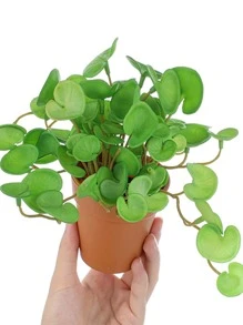 16cm Small Artificial Copper Coin Grass Fake Succulent Landscape Tropical Hydroponics Plants Plastic Begonia Leaves Green Centerpieces For Home Office Balcony Desktop Decoration Without Pot 1pc - Green - View 3