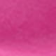 Rosa Fucsia