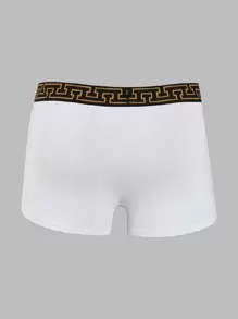 Shein Underwear&Sleepwear Basics Uomo 3 pezzi Mutandine boxer nastro fasce in vita