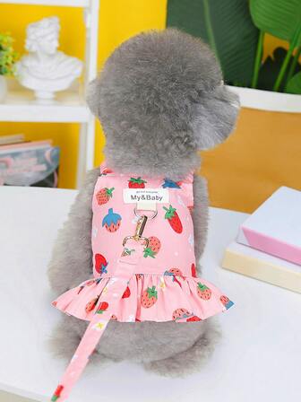 1 pièce à imprimé fraise Laisse pour animaux de compagnie & 1 pièce design robe Harnais pour animaux de compagnie