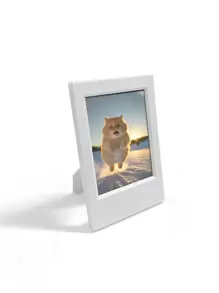 3英寸迷你磁性相框