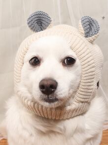 1pc Acrylic Fiber Warm And Elastic Pet Headgear For Dogs And Cats Used At Home Or Outside - Beige - View 5