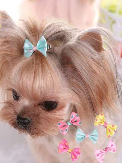 3入組隨機可愛寵物毛髮夾子