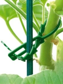 100入組可調節植物領帶、園林植物紮帶、種植用品、園藝工具