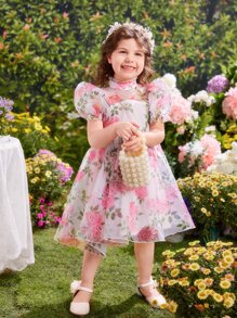 SHEIN Vestido De Organza Con Manga Abullonada Y Estampado Floral Para Niña Joven