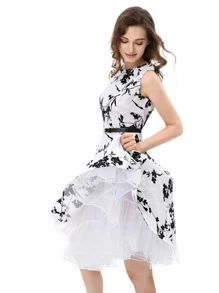 2 层水晶纱复古薄纱衬裙无线衬裙芭蕾舞裙网眼裙万圣节秋季女士服装