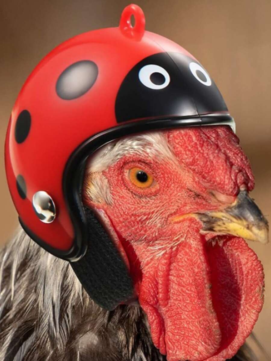 1pc Polka Dot Pattern Chicken Helmet SHEIN UK