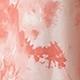 彩色