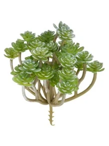 1pc Plastic Artificial Succulents, Cottage Core Artificial Mini Plant For Home, Valentine Day, Gift - Green - View 1