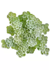 1pc Plastic Artificial Succulents, Cottage Core Artificial Mini Plant For Home, Valentine Day, Gift - Green - View 2