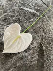 1 件人造手感软橡胶红色棕榈叶道具，家居装饰假花插花 - 白色 - 查看 1