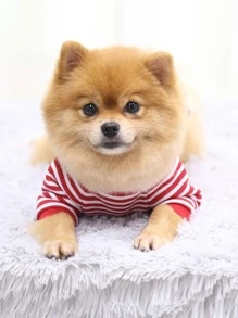 1pc Plaid & Cartoon Bear Decor Pet Sweatshirt,Pet Apparel For Small Medium Dog Cat - Red - View 5