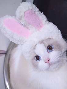 1pc Ear Design Pet Hat - White - View 2