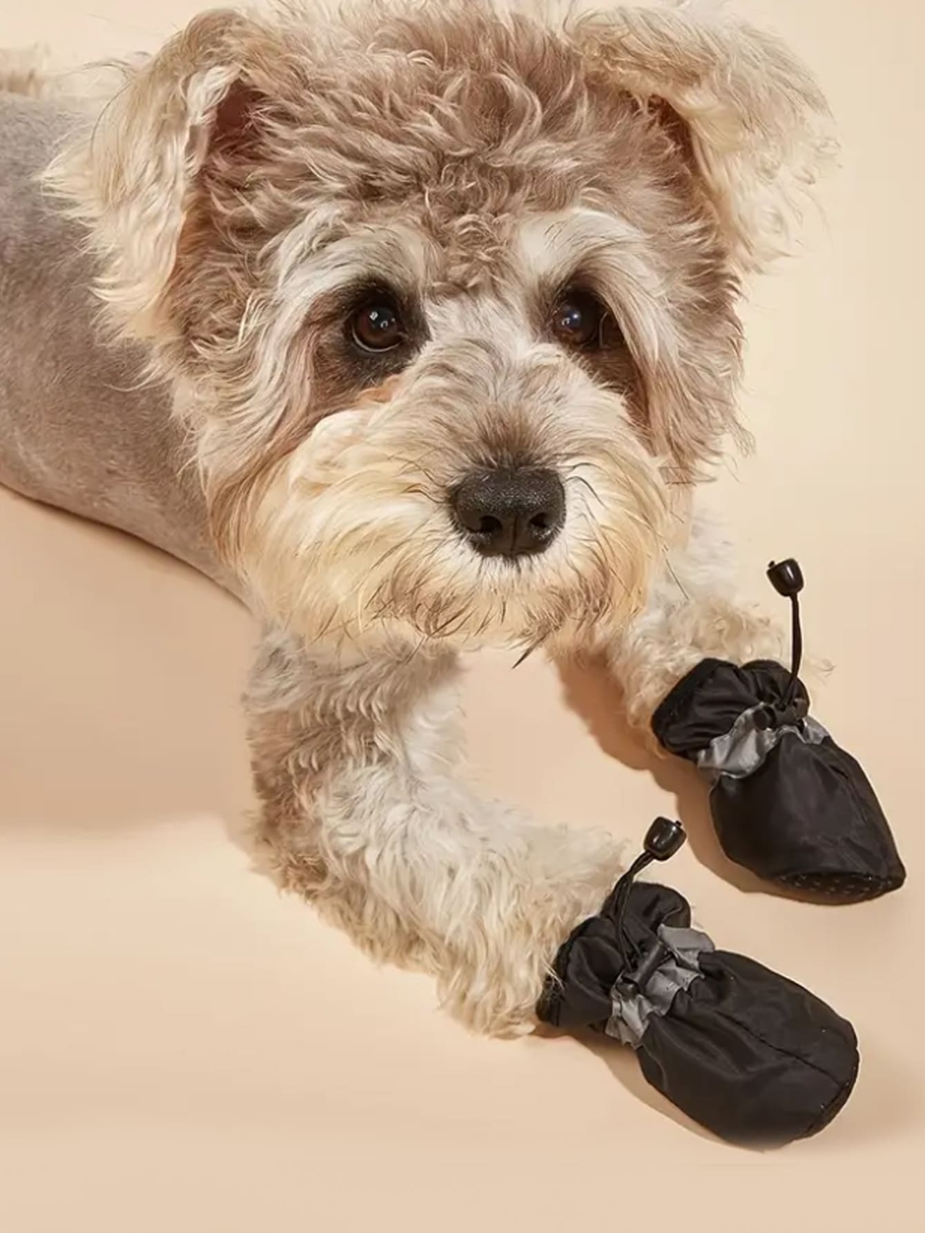4 piezas Zapatos para mascota reflectante impermeable - Negro - Ver 1