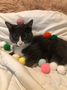 30入組隨機球形設計逗貓玩具