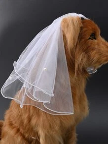 1pc Lace Decor Pet Headwear - White - View 2