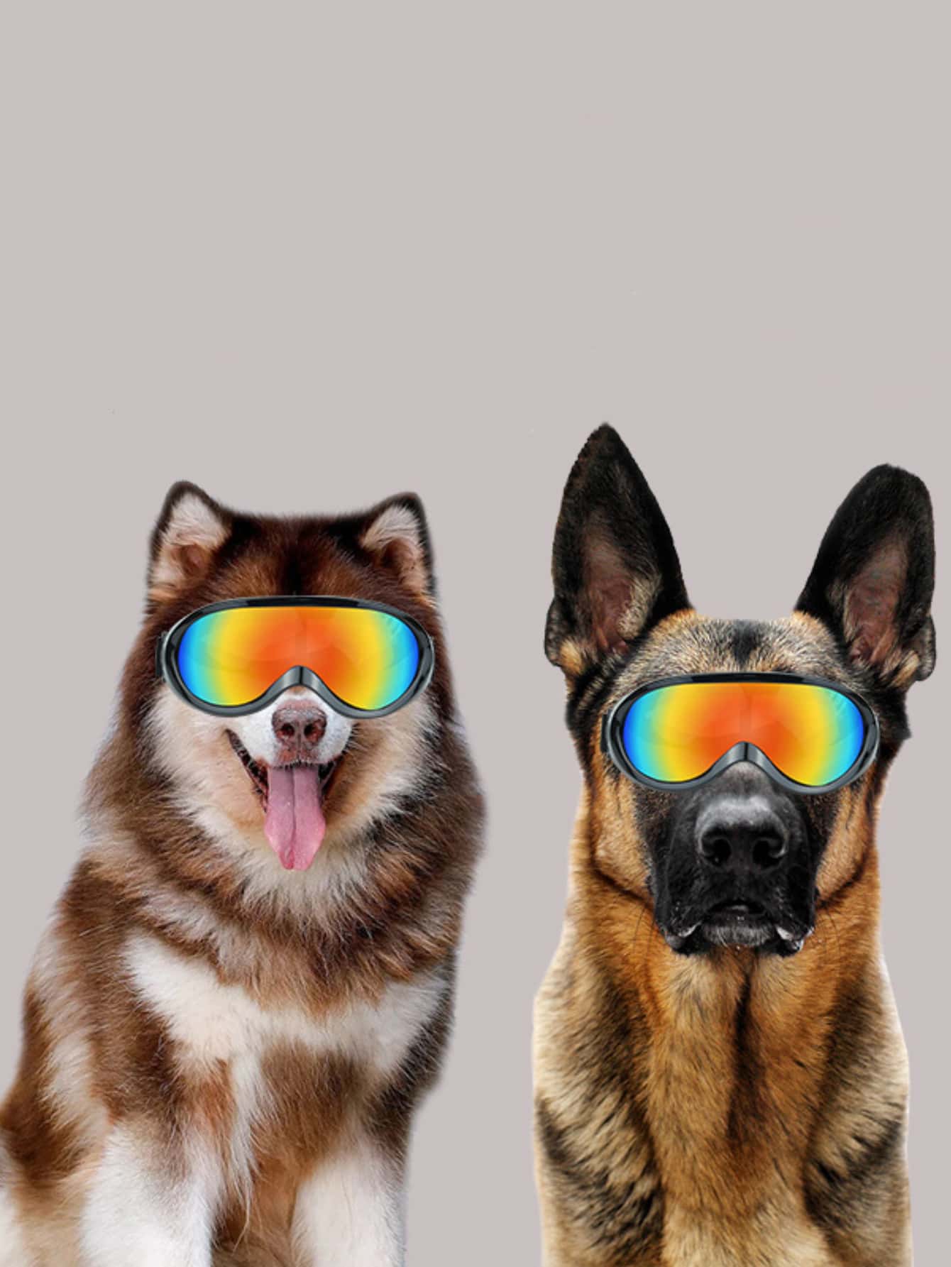 1pc Modern Pet Glasses - Black - View 1