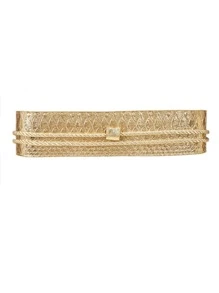 Elegant Tassel Decor Wide Belt for Coats and Dresses - Gold - View 5