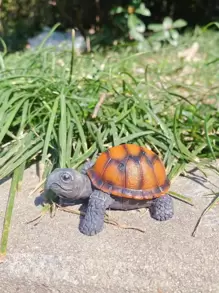 1入組樹脂花園裝飾品現代烏龜設計花園雕像 - 彩色 - 查看 1