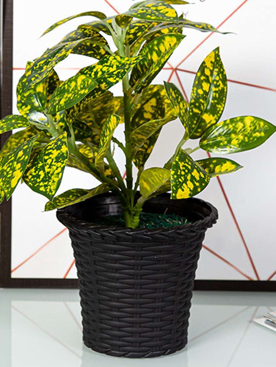 hộp đựng cây bằng nhựa, thiết kế dây bện ngoài trời trong nhà trồng vườn - màu đen - Xem 1