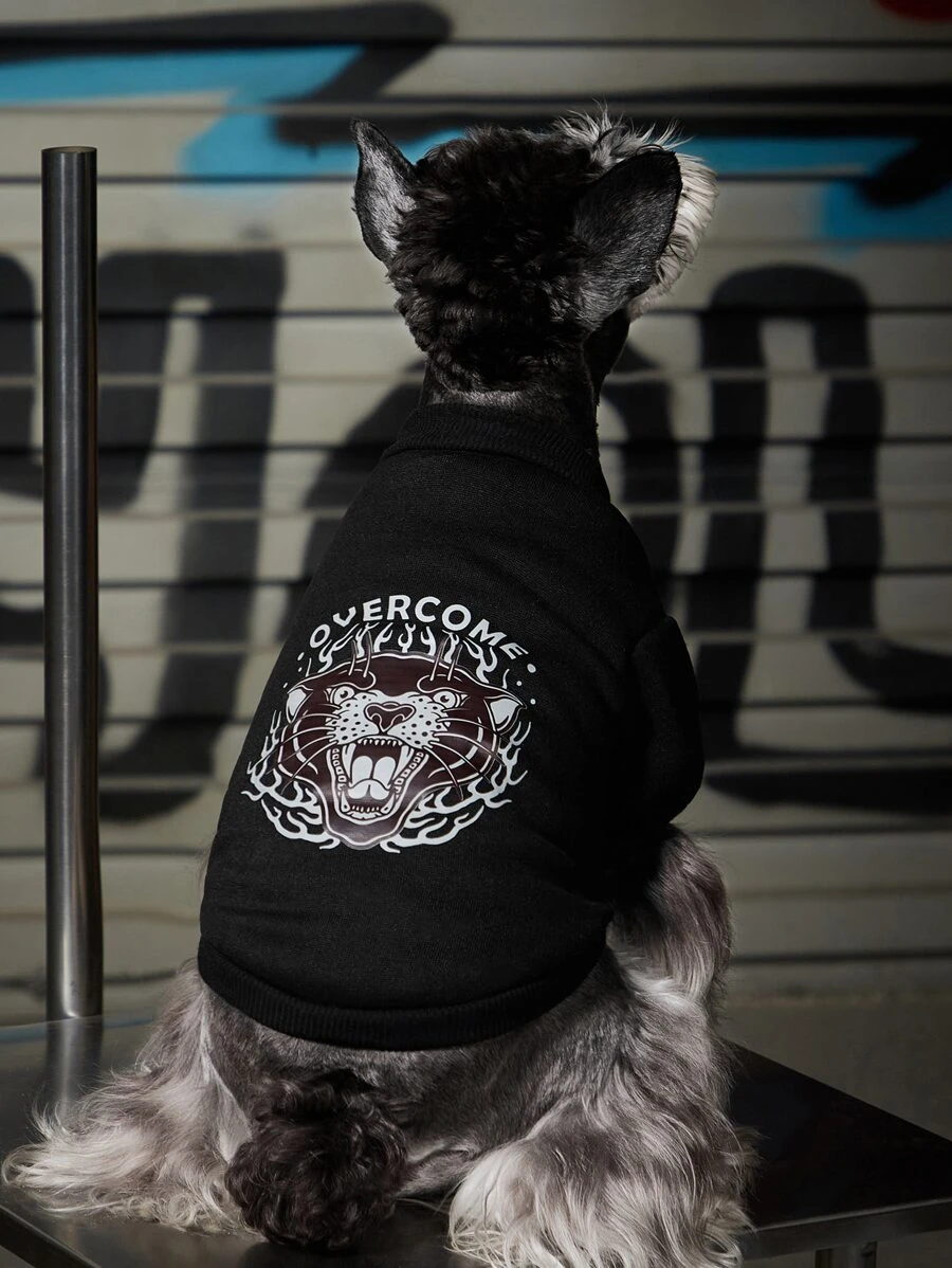 Drawdoland 1pc Animal & Letter Graphic Pet Sweatshirt