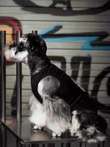 Geekydog 1pc Cartoon Cat Print Pet Tank - Multicolor - View 4