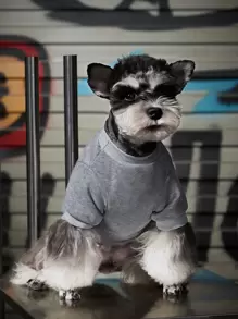 Felipe Marques 1件灰色“寵物”字母印花無帽寬松衣,保暖貓狗 - 彩色 - 查看 5