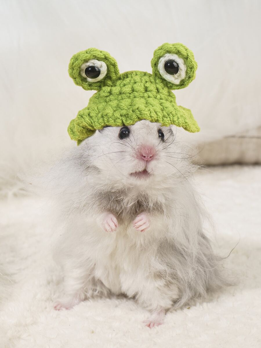 1pc Cartoon Frog Design Hamster Hat - Multicolor - View 1