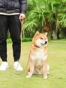 1 pieza Correa de mascota ajustable - Multicolor - Ver 1