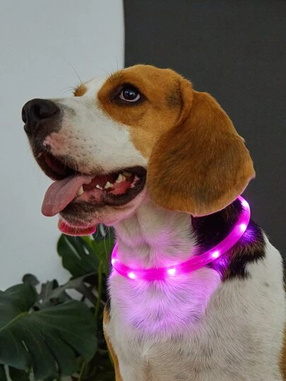 1pc  Rechargeable LED Light Up Pet Collar