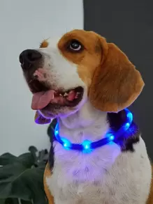 1 Pieza Collar Para Mascota Con Luz Led Recargable - Azul - Ver 2