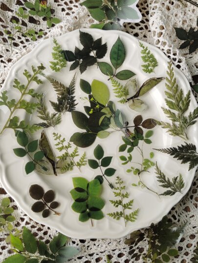 40入組葉子圖案貼紙