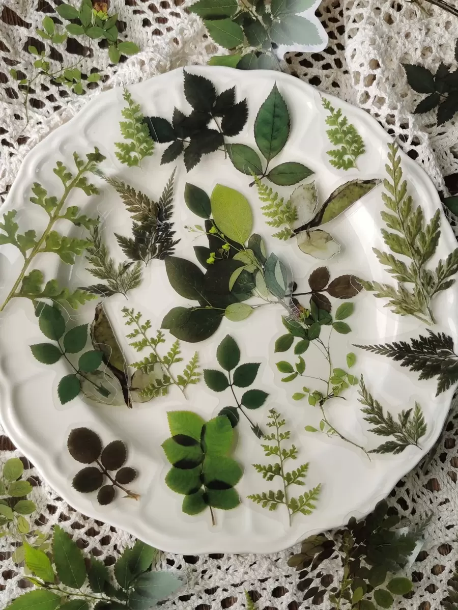 40入組葉子圖案貼紙 - 彩色 - 查看 1