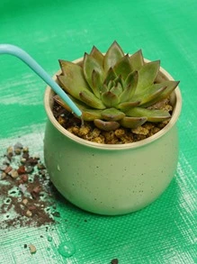 1pc PE Plant Mat, Waterproof Plant Pad For Garden - Green - View 8