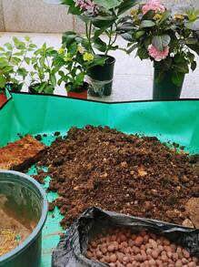 1pc PE Plant Mat, Waterproof Plant Pad For Garden - Green - View 9