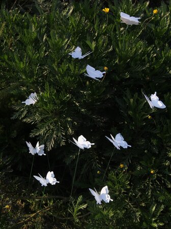 10/20/50pcs Pure White Butterfly Wedding Decorations, Waterproof PVC, 3D Realistic Butterfly, Suitable For Indoor And Outdoor, All Seasons