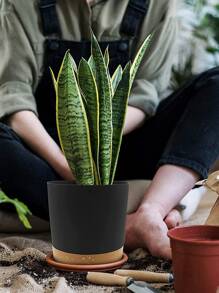 1 hộp đựng cây bằng nhựa, chậu cây hai tông màu tối giản có đế cho sân vườn - màu đen - Xem 2