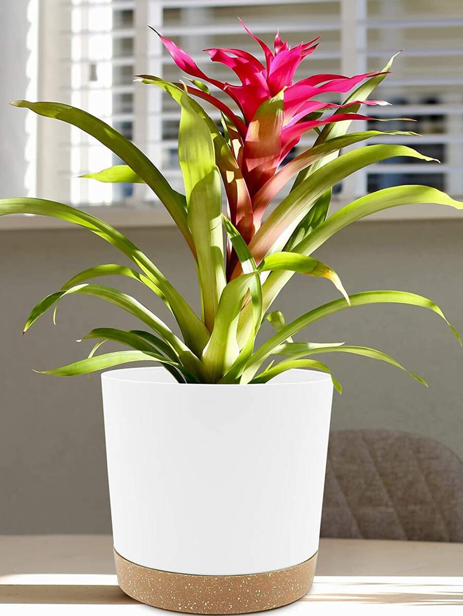 1入組塑膠植物白色花盆適用於植物 - 白色 - 查看 1